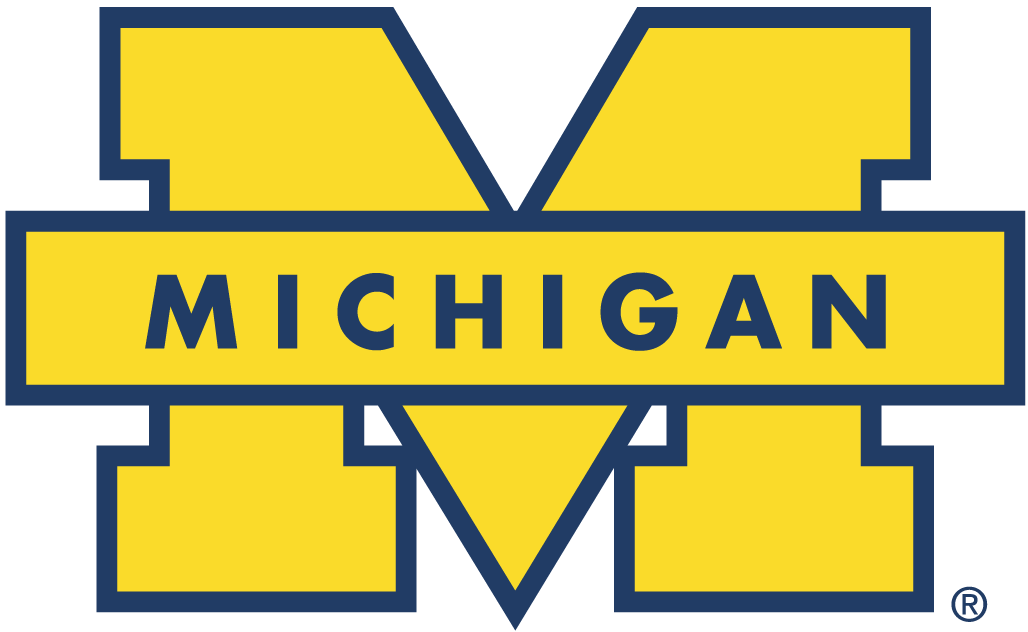 Michigan Wolverines 1996-Pres Secondary Logo diy iron on heat transfer...